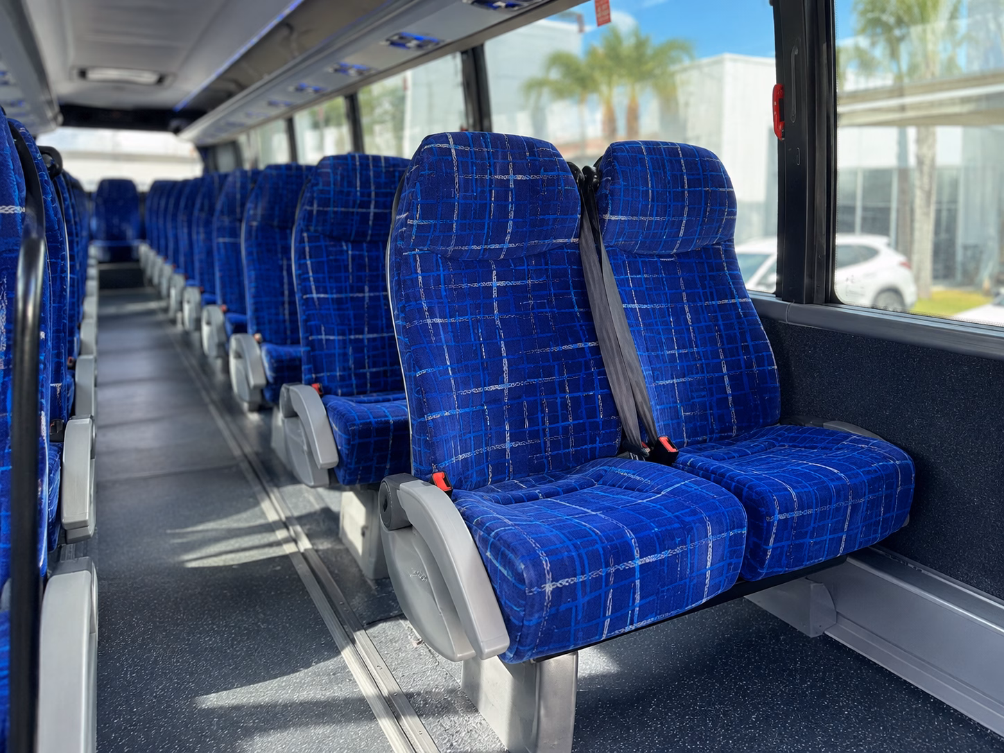 bachelorette wine tour buses from allen to mckinney and beyond